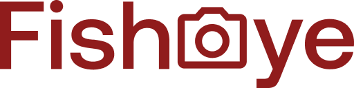 logo du site et retour à l'accueil