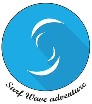 Logo Surf Wave